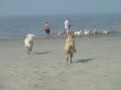 03.09.11 Sommertour St.Peter Ording 054a.JPG